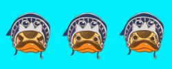 Rule 34 | angry, animal, animal focus, bird, blue background, blush stickers, commentary request, duck, goggles, goggles on headwear, hat, highres, karoo (one piece), looking at viewer, multiple views, one piece, portrait, simple background, solo, yuu sz37