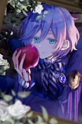 Rule 34 | 1boy, apple, black jacket, blood, blood on clothes, blood on hands, blue eyes, bow, bowtie, center frills, epel felmier, flower, food, frilled shirt collar, frilled sleeves, frills, fruit, hair between eyes, highres, holding, holding food, holding fruit, jacket, looking at viewer, male focus, night raven college uniform, odayakao, purple hair, rose, shirt, short hair, sleeve ribbon, smile, solo, striped bow, striped bowtie, striped clothes, twisted wonderland, upper body, white bow, white bowtie, white flower, white rose, white shirt