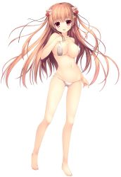 Rule 34 | 1girl, barefoot, bikini, blush, braid, breasts, brown hair, cherry hair ornament, clover hair ornament, covered erect nipples, food-themed hair ornament, french braid, full body, hair ornament, haruoto alice gram, highres, large breasts, long hair, looking at viewer, nanao naru, navel, official art, open mouth, red eyes, shirahane yuuri, solo, swimsuit, transparent background, white bikini