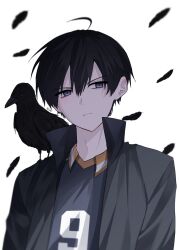 1boy absurdres ahoge animal animal_on_shoulder bird bird_on_shoulder black_bird black_feathers black_hair black_jacket blue_eyes closed_mouth commentary crow falling_feathers feathers haikyuu!! hair_between_eyes highres jacket kageyama_tobio karasuno_volleyball_uniform looking_to_the_side male_focus name_dm11 open_clothes open_jacket shirt short_hair simple_background solo sportswear upper_body volleyball_uniform white_background