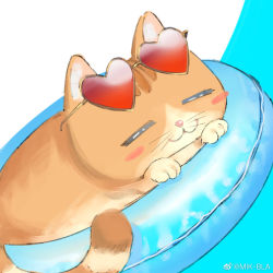 Rule 34 | 1other, cat, mik-bla, sleeping, sunglasses, weibo
