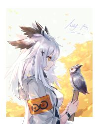 Rule 34 | 1girl, arknights, armband, bird, book, border, bracelet, breasts, commentary request, feather hair, from side, grey jacket, hair flaps, hair ornament, hairclip, highres, holding, holding book, hood, hooded jacket, jacket, jewelry, long hair, long sleeves, medium breasts, nejikyuu, orange eyes, outside border, owl, parted lips, profile, ptilopsis (arknights), ptilopsis (elite ii) (arknights), rhine lab logo, signature, upper body, white border, white hair, x hair ornament