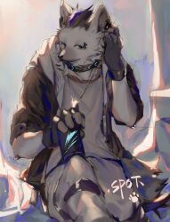 Rule 34 | 1boy, animal collar, animal ear piercing, arknights, black gloves, black jacket, canister, character name, closed mouth, collar, dog tags, eyebrow piercing, fingerless gloves, furry, furry male, gloves, grey pants, grey shirt, highres, hyena boy, jacket, looking at viewer, male focus, p7ywirzyw8lesuc, pants, piercing, shirt, solo, spot (arknights)