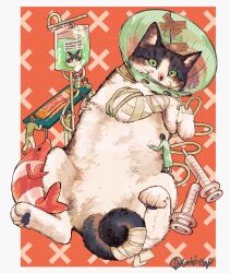 Rule 34 | 2girls, 4boys, animal, animal focus, bandaged arm, bandaged tail, bandages, bandaid, border, cat, coat, commentary, covered mouth, from above, full body, green coat, green eyes, green shirt, highres, intravenous drip, looking at viewer, lying, multiple boys, multiple girls, on back, orange background, original, outside border, oversized animal, pet cone, shirt, signature, simple background, size difference, stuffed shrimp, stuffed toy, symbol-only commentary, syringe, tonbippo08, veterinarian, white border