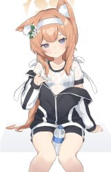 Rule 34 | 1girl, animal ear fluff, animal ears, black bra, black jacket, black shorts, blue archive, blue eyes, bottle, bra, breasts, cat ears, closed mouth, gym uniform, halo, highres, jacket, karon, long sleeves, looking at viewer, mari (blue archive), mari (track) (blue archive), orange hair, plastic bottle, see-through, shirt, short sleeves, shorts, sitting, small breasts, smile, solo, sweat, underwear, water bottle, white shirt