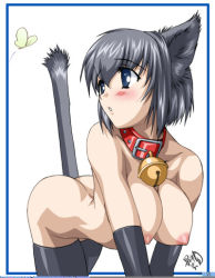 Rule 34 | 1girl, animal ears, artist request, bell, cat ears, character request, collar, copyright request, gloves, nipples, solo, tagme, thighhighs