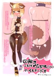 Rule 34 | 1girl, animal ears, ass, ass cutout, back, backless outfit, bare shoulders, blonde hair, blunt bangs, blush, breasts, brown footwear, butt crack, chain, clitoris piercing, clothing cutout, collar, collarbone, covered erect nipples, crotchless, crotchless pantyhose, cuffs, dog ears, dog tail, erune, fang, full body, granblue fantasy, hair ornament, hanauna, heart, heart tattoo, leash, looking at viewer, open mouth, pantyhose, piercing, pubic tattoo, pussy piercing, shackles, short eyebrows, short hair, shoulder blades, simple background, small breasts, solo, sweat, tail, tattoo, tears, translation request, vajra (granblue fantasy)
