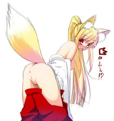 Rule 34 | 1girl, akino sora, animal ears, anus, ass, bad id, blonde hair, blush, breasts, censored, embarrassed, fox ears, fox tail, hakama, hakama pull, hakama skirt, high ponytail, japanese clothes, large breasts, leaning forward, long hair, looking at viewer, looking back, miko, mosaic censoring, off shoulder, ponytail, pussy, red eyes, simple background, skirt, solo, tail, tearing up, white background