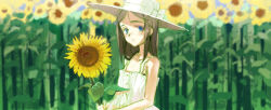 Rule 34 | 1girl, day, field, flower, flower field, hat, murasawa hiroshi, original, solo, sun hat, sunflower, sunflower field, white hat