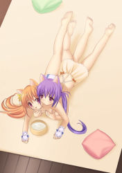 Rule 34 | 2girls, animal ears, barefoot, bowl, cat ears, feet, female focus, from above, lying, multiple girls, on stomach, original, pet bowl, piyodera mucha, soles, toes, yuri