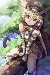 Rule 34 | 10s, 1girl, animal ears, animal print, awa (rosemarygarden), blonde hair, bow, bowtie, elbow gloves, forest, gloves, hair between eyes, in tree, kemono friends, leaf, looking at viewer, nature, ocelot (kemono friends), ocelot print, print skirt, print thighhighs, shirt, short hair, sitting, sitting in tree, skirt, sleeveless, sleeveless shirt, solo, thighhighs, tree, yellow eyes