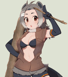 1girl american_beaver_(kemono_friends) animal_ears antenna_hair armpit_peek bad_id bad_twitter_id bangs_pinned_back beaver_ears beaver_tail bike_shorts bike_shorts_under_shorts bikini bikini_top_only black_bikini black_gloves blush breasts brown_eyes brown_jacket chestnut_mouth cleavage collarbone cowboy_shot elbow_gloves eyelashes fur_collar gloves gradient_hair grey_background grey_hair grey_shorts hair_ornament hairclip holding humanization jacket kemono_friends kiri_futoshi large_breasts log multicolored_hair navel open_clothes open_jacket open_mouth parted_bangs round_teeth salute short_eyebrows short_hair short_shorts shorts signature simple_background solo standing stick swimsuit tail teeth torn_clothes torn_shorts torn_sleeves two-finger_salute