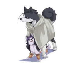 Rule 34 | absurdres, animal focus, animalization, asirpa, black eyes, cape, dog, golden kamuy, headband, highres, hood, hooded cape, ks lobos, looking at another, looking to the side, looking up, no humans, ogata hyakunosuke, shadow, simple background, smile, tail, thai commentary, white background