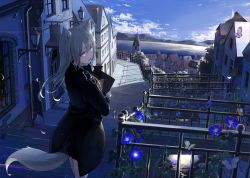 Rule 34 | 1girl, animal ears, bag, black jacket, blue sky, bottle, bridge, bug, building, butterfly, cloud, cloudy sky, commentary request, day, fence, flower, highres, holding, holding bag, house, bug, jacket, lamppost, light rays, long hair, long sleeves, mikisai, morning glory, mountain, open mouth, original, purple eyes, river, scenery, sign, silver hair, sky, tail, town, walking