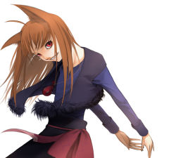 Rule 34 | 00s, animal ears, holo, solo, spice and wolf, tail, wolf ears, yama
