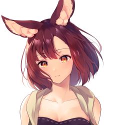 Rule 34 | 1girl, animal ear fluff, animal ears, bare shoulders, breasts, calm mashiro, cleavage, closed mouth, collarbone, etrian odyssey, hound (sekaiju), looking at viewer, orange eyes, portrait, red hair, sekaiju no meikyuu, sekaiju no meikyuu 5, short hair, simple background, solo, vest, white background