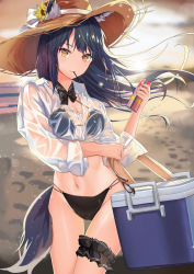 Rule 34 | 1girl, absurdres, animal ears, arknights, auguste, beach, bikini, black bikini, black hair, bow, bridal garter, chinese commentary, commentary request, cooler, cowboy shot, crop top, flower, food, food in mouth, hat, hat bow, hat flower, highres, holding, huge filesize, long hair, long sleeves, looking at viewer, midriff, mouth hold, multi-strapped bikini, navel, outdoors, pocky, see-through, shirt, solo, standing, stomach, sun hat, swimsuit, tail, texas (arknights), thighs, white bow, white shirt, wolf ears, wolf tail, yellow eyes