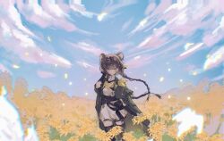 Rule 34 | 1girl, absurdres, animal ears, arknights, black ribbon, black sash, black thighhighs, blue sky, braid, brown eyes, brown hair, capelet, chinese commentary, chromatic aberration, closed mouth, cloud, coat, commentary request, day, dress, field, film grain, flower, flower field, green capelet, green coat, hair ornament, hair ribbon, hairclip, hand in own hair, hand up, highres, light particles, long hair, lutonada (arknights), mouse ears, mouse girl, open clothes, open coat, outdoors, petals, ribbon, sash, scenery, short dress, short sleeves, sky, smile, solo, standing, thighhighs, torn clothes, torn dress, trifidnebula sanye (alnair03582), twin braids, white dress, wind, yellow flower, yellow ribbon