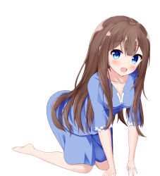 Rule 34 | 1girl, :d, all fours, ange vierge, barefoot, blue eyes, blue shirt, blue shorts, blush, breasts, brown hair, cleavage, collarbone, commentary request, hair between eyes, head tilt, highres, hinata miumi, long hair, looking at viewer, medium breasts, open mouth, roido (taniko-t-1218), shirt, short shorts, short sleeves, shorts, simple background, smile, soles, solo, very long hair, white background