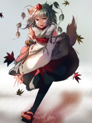 Rule 34 | 1girl, animal ears, autumn leaves, bad id, bad pixiv id, detached sleeves, geta, gradient background, hat, hat ribbon, highres, hizagawa rau, inubashiri momiji, long sleeves, looking at viewer, open mouth, red eyes, ribbon, shirt, silver hair, skirt, solo, tail, tokin hat, touhou, wide sleeves, wolf ears, wolf tail