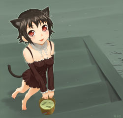 Rule 34 | animal ears, bad id, bad pixiv id, barefoot, black hair, blush, bucket, bucket of water, cat ears, cat tail, dress, fang, fish, red eyes, short hair, solo, tail, ume (driveume)