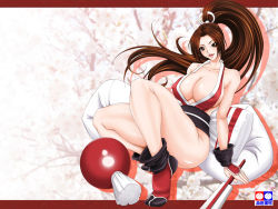 Rule 34 | breasts, brown eyes, brown hair, fatal fury, large breasts, long hair, ponytail, shiranui mai, size hermitage, snk, the king of fighters