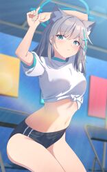Rule 34 | aekun cben, animal ears, arms behind head, arms up, blue archive, buruma, crop top, cross hair ornament, extra ears, front-tie top, grey hair, gym shirt, gym uniform, hair ornament, halo, highres, looking at viewer, midriff, mismatched pupils, navel, shiroko (blue archive), shirt, sitting, white shirt, wolf ears