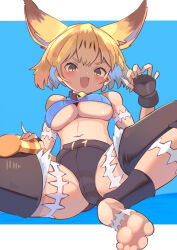 Rule 34 | 1girl, :d, animal ears, bare shoulders, barefoot, belt, black belt, black choker, black gloves, black leggings, blonde hair, blue background, blue shirt, blush, breasts, cat ears, cat tail, choker, commentary, cosplay, crop top, detached leggings, fang, feet, fingerless gloves, fingernails, foot out of frame, gloves, hair between eyes, highres, kemono friends, large breasts, leggings, looking at viewer, ms. fortune (skullgirls), ms. fortune (skullgirls) (cosplay), navel, open mouth, osnmykk, scar, serval (kemono friends), shadow, sharp fingernails, shirt, short hair, short shorts, shorts, simple background, sitting, skin fang, skullgirls, sleeveless, sleeveless shirt, smile, soles, solo, tail, toes, underboob, upshirt, yellow eyes