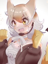 Rule 34 | 1girl, animal ears, coyote (kemono friends), extra ears, highres, kemono friends, kemono friends v project, looking at viewer, rnrwbhybsxj4qgk, simple background, solo, tail, virtual youtuber, wolf ears, wolf girl, wolf tail