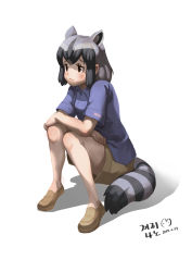 Rule 34 | 10s, 1girl, 2017, :/, animal ears, artist name, black hair, blush, breasts, brown eyes, brown footwear, brown shorts, collared shirt, common raccoon (kemono friends), crossed arms, dated, eyebrows, eyelashes, facing away, full body, grey hair, highres, kemono friends, knees together feet apart, loafers, looking away, multicolored hair, name tag, open mouth, purple shirt, raccoon ears, raccoon tail, roonhee, shadow, shirt, shoes, short hair, short sleeves, shorts, sidelocks, simple background, sitting, small breasts, solo, tail, tareme, white background, white hair