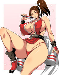 Rule 34 | 1girl, breasts, fatal fury, highres, huge breasts, long hair, ponytail, shiranui mai, solo
