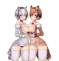 Rule 34 | 10s, 2girls, bad id, bad pixiv id, bare shoulders, blush, breast press, breasts, breasts out, brown eyes, brown hair, cameltoe, choker, collarbone, covered navel, dress, eurasian eagle owl (kemono friends), grey hair, hair between eyes, head wings, heart, heart hands, heart hands duo, highres, kemono friends, long sleeves, looking at viewer, medium breasts, multicolored hair, multiple girls, natori youkai, northern white-faced owl (kemono friends), open mouth, short dress, short hair, smile, symmetrical docking, tail, thighhighs, white background, white hair, white legwear, wide hips, wings