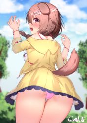 Rule 34 | animal ears, ass, ass focus, blurry, blurry background, bone hair ornament, braid, breasts, brown hair, commentary request, dog ears, dog girl, dog tail, foreshortening, gmkj, hair ornament, hairclip, highres, hololive, inugami korone, inugami korone (1st costume), jacket, looking back, medium hair, open mouth, panties, purple eyes, sky, solo, tail, tree, twin braids, underwear, virtual youtuber