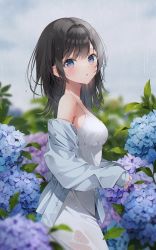 Rule 34 | 1girl, :o, black hair, blue eyes, blue flower, blue jacket, blurry, blurry background, blush, cloud, cloudy sky, cowboy shot, detached sleeves, field, floral background, flower, flower field, gradient eyes, grey background, highres, jacket, looking at viewer, medium hair, multicolored eyes, open mouth, original, pants, purple flower, rain, see-through, shirt, sky, solo, standing, water drop, weri, wet, wet clothes, white pants, white shirt
