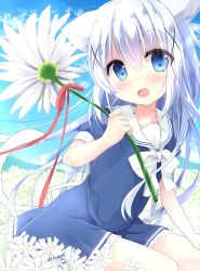 Rule 34 | 1girl, :d, animal ears, blue eyes, blue sky, blush, bow, bowtie, cat ears, cat tail, cloud, commentary request, day, dress, field, flower, flower field, gochuumon wa usagi desu ka?, hair between eyes, hair ornament, head tilt, highres, holding, holding flower, horizon, kafuu chino, kemonomimi mode, kouda suzu, long hair, looking at viewer, mountain, open mouth, outdoors, oversized object, red ribbon, ribbon, sailor collar, sailor dress, short sleeves, sitting, sky, smile, solo, tail, white bow, white bowtie, white hair, x hair ornament