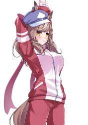 Rule 34 | 1girl, animal ears, arms up, blush, breasts, brown hair, commentary request, hair ornament, hairclip, hat, herohero (higashi no dou), highres, horse ears, horse tail, jacket, looking at viewer, matikane tannhauser (umamusume), medium breasts, pants, simple background, solo, stretching, tail, track jacket, track pants, umamusume, white background, yellow eyes