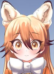 Rule 34 | 1girl, akegata tobari, animal ears, blush, bow, bowtie, brown hair, close-up, commentary request, extra ears, ezo red fox (kemono friends), fox ears, fox girl, highres, kemono friends, long hair, looking at viewer, multicolored hair, orange eyes, orange hair, portrait, solo, wavy mouth, white bow, white bowtie
