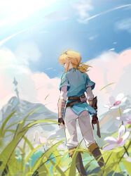 Rule 34 | 1boy, bird, blonde hair, blue sky, blue tunic, boots, cloud, cloudy sky, feet out of frame, fingerless gloves, flower, from behind, gloves, grass, hair between eyes, highres, link, looking away, low ponytail, male focus, medium hair, nintendo, outdoors, pants, pointy ears, shirt, sidelocks, sky, solo, standing, swan, taiz22, the legend of zelda, the legend of zelda: breath of the wild, white flower, white pants, white shirt