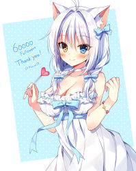 Rule 34 | 1girl, aina rive, animal ear fluff, animal ears, blue background, blue eyes, blue ribbon, breasts, cat ears, cat girl, choker, cleavage, closed mouth, dress, hair ribbon, heterochromia, holding, large breasts, long hair, looking at viewer, mauve, original, polka dot, polka dot background, ribbon, sleeveless, sleeveless dress, smile, solo, thank you, twintails, twitter username, two-tone background, white background, white choker, white dress, white hair, yellow eyes