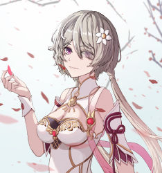 Rule 34 | 1girl, absurdres, branch, breasts, brown dress, brown hair, china dress, chinese clothes, chinese new year, cleavage, dress, flower, grin, hair over one eye, highres, honkai (series), honkai impact 3rd, kabuto tong, long hair, looking at viewer, petals, purple eyes, rita rossweisse, rita rossweisse (artemis), smile, solo, teeth, twintails, white flower