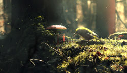 Rule 34 | bird, blurry, bokeh, commentary request, day, depth of field, eating, forest, moss, mushroom, nature, no humans, original, shizui fen, sunlight, tagme, torii, tree