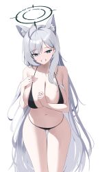 Rule 34 | 1girl, absurdres, animal ear fluff, animal ears, bikini, black bikini, blue archive, blue eyes, breasts, cleavage, commentary, commentary request, english commentary, gluteal fold, grey hair, grin, halo, highres, large breasts, leaning forward, long hair, magya416, mismatched pupils, mixed-language commentary, navel, shiroko (blue archive), shiroko terror (blue archive), simple background, smile, solo, stomach, swimsuit, thighs, very long hair, white background, wolf ears