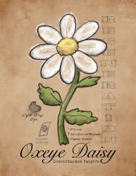 Rule 34 | absurdres, brown background, commentary, daisy, english commentary, flower, flower focus, highres, kaleyobsidia, leaf, minecraft, no humans, original, oxeye daisy, place name, plant, real life, scientific name, sketch, white flower, yellow flower