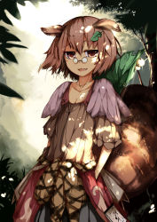 Rule 34 | 1girl, :3, animal ears, bell, breasts, brown eyes, brown hair, cleavage, fang, futatsuiwa mamizou, glasses, hands in pockets, highres, jewelry, kyuu (plastic night q), leaf, leaf on head, necklace, notepad, object on head, open mouth, pince-nez, raccoon ears, raccoon tail, small breasts, smile, tail, touhou, tree