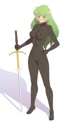 Rule 34 | 1girl, absurdres, blush, full body suit, green hair, green pubic hair, highres, knight, long hair, original, shadow, sword, weapon, white background