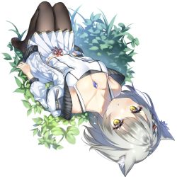 Rule 34 | 1girl, :o, animal ears, bare shoulders, black pantyhose, blush, breasts, cat ears, collarbone, commentary request, dreamlist, grey hair, highres, jacket, looking at viewer, lying, medium breasts, mio (xenoblade), off shoulder, open clothes, open jacket, pantyhose, plant, pleated skirt, short hair, skirt, solo, swept bangs, tank top, white jacket, white skirt, white tank top, xenoblade chronicles (series), xenoblade chronicles 3, yellow eyes