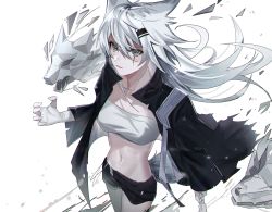 Rule 34 | 1girl, 3o c, absurdres, animal ears, arknights, bandeau, black jacket, black shorts, commentary, cowboy shot, dated commentary, grey eyes, hair between eyes, hair ornament, hairclip, highres, jacket, lappland (arknights), long hair, long sleeves, looking at viewer, material growth, midriff, navel, open clothes, open jacket, oripathy lesion (arknights), parted lips, short shorts, shorts, silver hair, simple background, solo, standing, stomach, strapless, tube top, white background, wolf ears