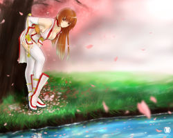 Rule 34 | 1girl, akai yami, bare shoulders, breasts, bridal gauntlets, brown eyes, brown hair, cleavage, collarbone, dead or alive, elbow gloves, fingerless gloves, gloves, grass, kasumi (doa), kaworu2236, long hair, pelvic curtain, petals, pond, red eyes, red hair, solo, sword, tecmo, thighhighs, water, weapon, yami (pixiv163439), zettai ryouiki