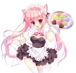 Rule 34 | 1girl, ameto yuki, animal ears, bad id, bad nicoseiga id, breasts, candy, cat ears, cat tail, chocolate, chocolate heart, cleavage, female focus, food, heart, highres, macaron, maid headdress, medium breasts, original, pink eyes, pink hair, simple background, solo, tail, thighhighs, tray, twintails, waitress, white background, white thighhighs, wrist cuffs