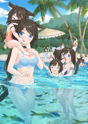 Rule 34 | 1boy, 6+girls, aina (mao lian), animal ear fluff, animal ears, arms up, beach, black choker, black hair, blue bra, blue eyes, blue panties, blush, bra, carrying, cat ears, cat tail, child, choker, closed eyes, commission, day, face grab, family, fang, father and daughter, fish, forest, highres, long hair, looking at another, mao lian (nekokao), mother and daughter, multiple girls, nature, one-piece swimsuit, open mouth, original, palm tree, panties, parted bangs, pixiv commission, short hair, shoulder carry, siblings, sisters, standing, swimsuit, tail, tree, underwear, underwear only, vacation, wet, wet hair
